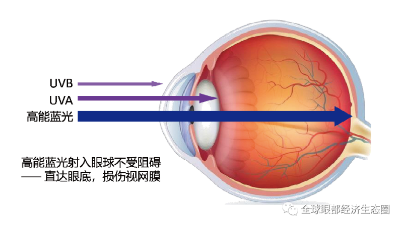 你的防藍(lán)光眼鏡戴對(duì)了嗎