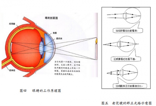 美麗島眼鏡：老花鏡不可隨意亂帶，需要在專業(yè)驗光后科學配制